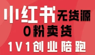 小红书无货源0粉电商课,开店准备、选品策略、笔记撰写、视频剪辑、数据分析、账号打造、资料文档-邪修侠