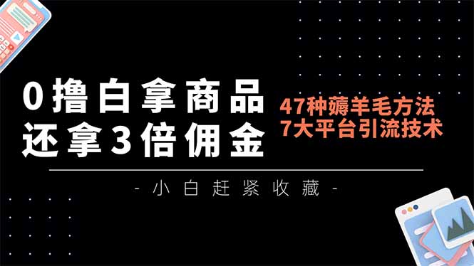 0撸白拿商品，还拿3倍佣金，47种薅羊毛方法，7大平台全方位引流技术教学，精专月入过万-邪修侠