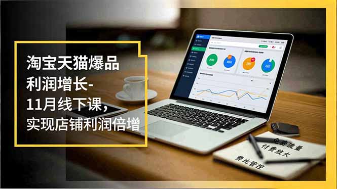 淘宝天猫爆品利润增长-11月线下课,免费流量、付费放大、费比管控,实现店铺利润倍增-邪修侠