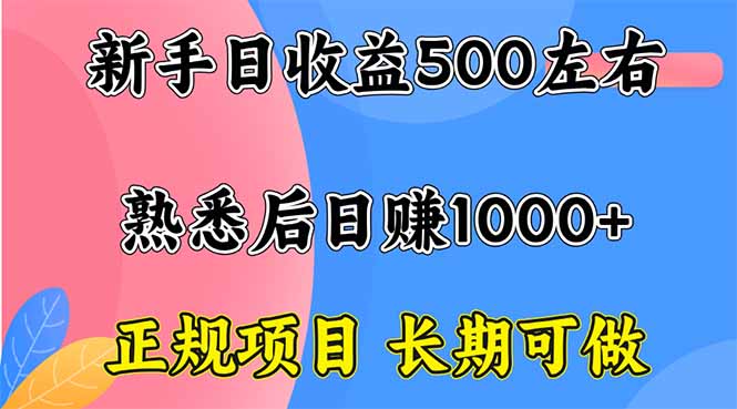 新手日收益500+ 正规项目 长期可做-邪修侠
