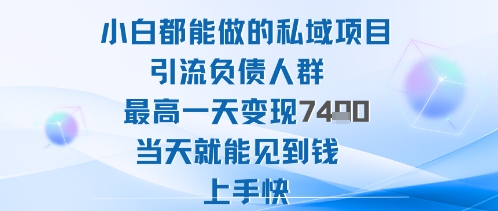 2025年小白都能做的私域项目引流负债人群最高一天变现1k+高变现难度低当天就能见到钱上手快-邪修侠