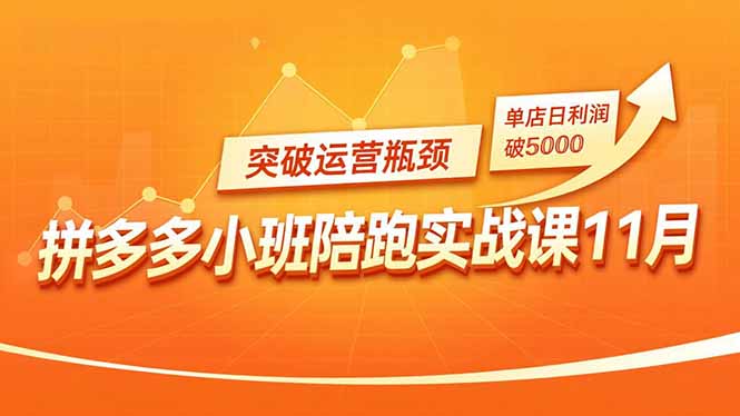 拼多多小班陪跑实战课11月,强付费矩阵、原价活动、暗券引流,突破运营瓶颈,单店日利润破5000-邪修侠