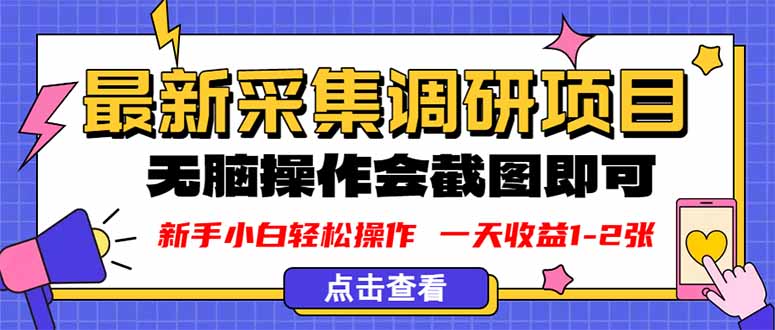 新版采集调研项目,截图上传即可,无脑操作,日收益1-2张-邪修侠