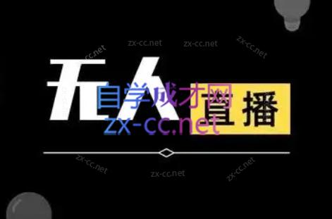 宝子哥·无人直播-非实时防风技术(更新9月)-邪修侠