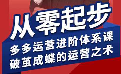 海神·拼多多运营进阶系统课(更新9月)-邪修侠