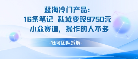 蓝海项目:16条笔记私域变现9750米小众赛道操作的人不多-邪修侠
