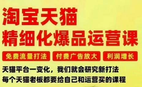 淘宝天猫精细化爆品运营课,免费流量打法-付费广告放大-利润增长-三大核心痛点,一次全部解决-邪修侠