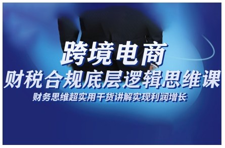 跨境电商财稅合规底层逻辑思维课,财务思维超实用于货讲解实现利润增长-邪修侠