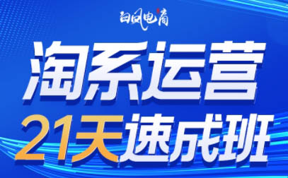 白凤电商·淘系运营21天速成班(更新9月)-邪修侠