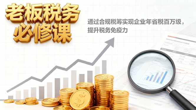 老板税务必修课,通过合规税筹实现企业年省税百万级,提升税务免疫力-邪修侠
