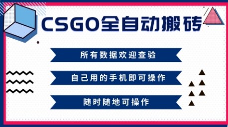 CSGO全自动搬砖,年底钱回家好项目,当天可拿到结果,新手小白轻松月入1W+【揭秘】-邪修侠
