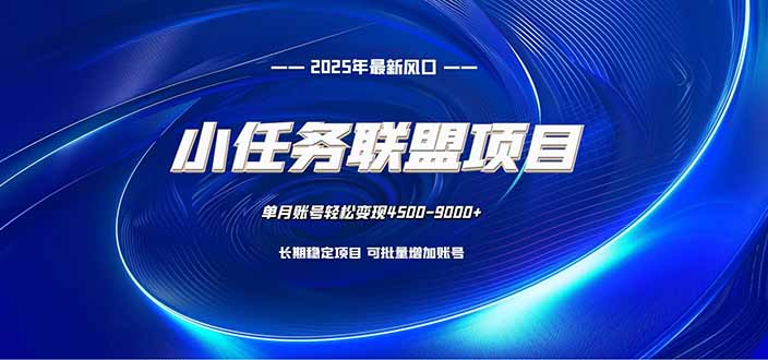 小任务联盟项目:一台电脑每天只需10分钟,轻松简单稳定-邪修侠