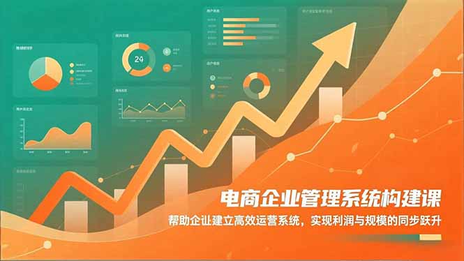 电商企业管理系统构建课:帮助企业建立高效运营系统,实现利润与规模的同步跃升-邪修侠