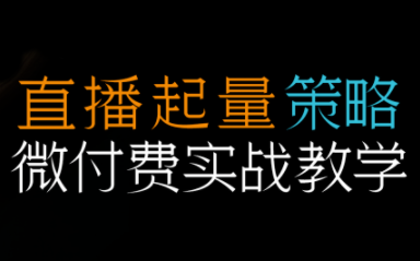 半野老师·直播带货起量与微付费必学课视频号-邪修侠