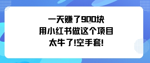 一天挣了9张用小红书做这个项目太牛了,空手套-邪修侠