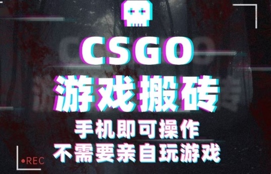 CSGO游戏挂G捡漏,单日扫货5张+,年底小高峰上车可吃肉,手机即可操作,兼职副业创业网创【揭秘】-邪修侠