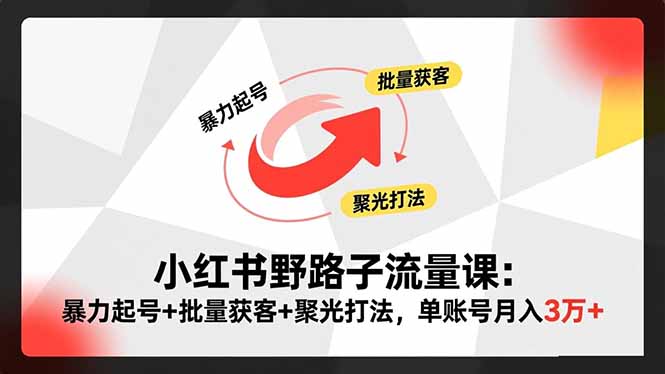 小红书野路子流量课:暴力起号+批量获客+聚光打法,单账号月入3万+-邪修侠