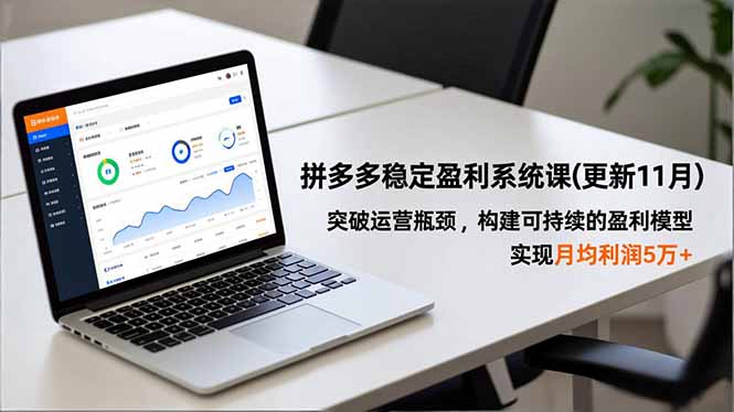 拼多多稳定盈利系统课(更新11月-邪修侠