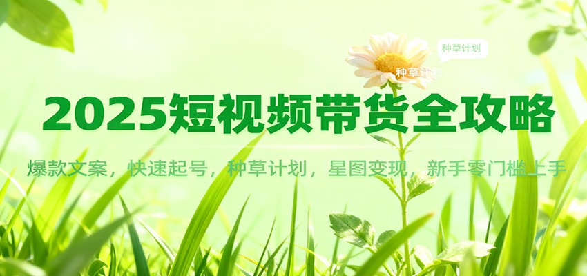 2025短视频带货全攻略：爆款文案，快速起号，种草计划，星图变现，新手零门槛上手-邪修侠