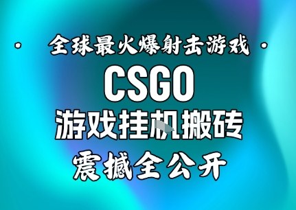 【年底大揭秘】基于全球最火爆的射击CSGO游戏挂G搬砖,日入5张+,震撼公开-邪修侠