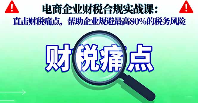 电商企业财税合规实战课,直击财税痛点,帮助企业规避最高80%的税务风险-邪修侠