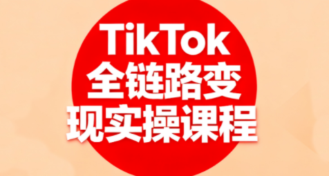 小杨老师·TikTok全链路变现实操课程-邪修侠