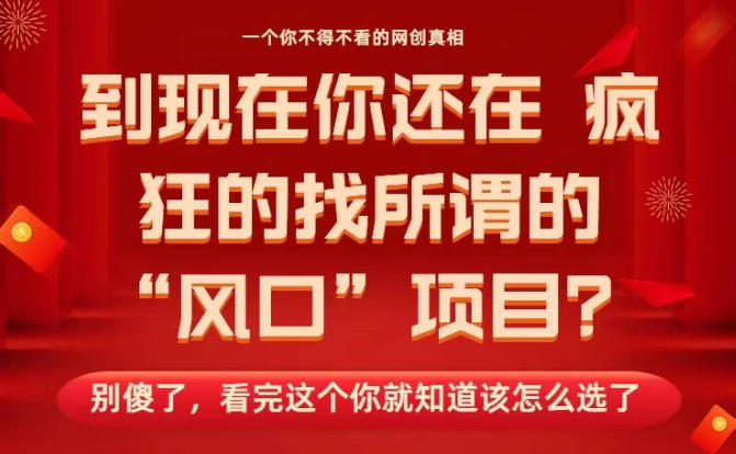 马上26年了,你还在找所谓的风口项目?别傻了,看完这个你全都懂了!【揭秘】-邪修侠