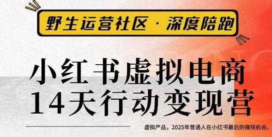 小红书虚拟电商14天变现训练营3.0,虚拟产品,2025年普通人在小红书最后的搞钱机会-邪修侠