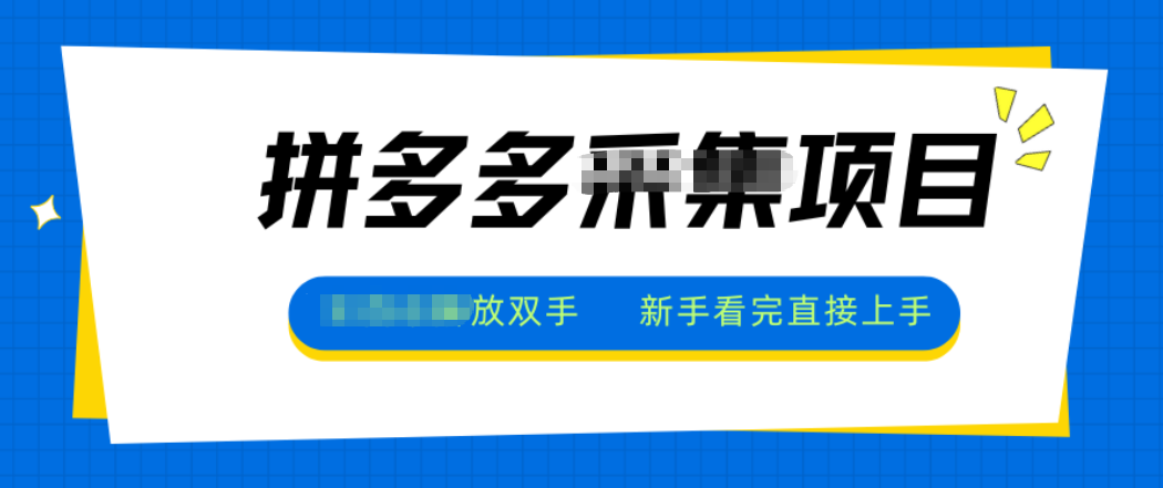 拼多多电商采集,一小时50+,操作简单,零投资-邪修侠