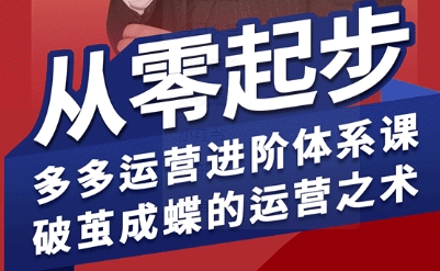 拼多多运营进阶系统课,从零起步,多多运营进阶体系课,破茧成蝶的运营之术(更新9月)-邪修侠