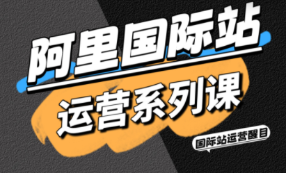醒目老师·阿里国际站运营系列课(更新11月)-邪修侠