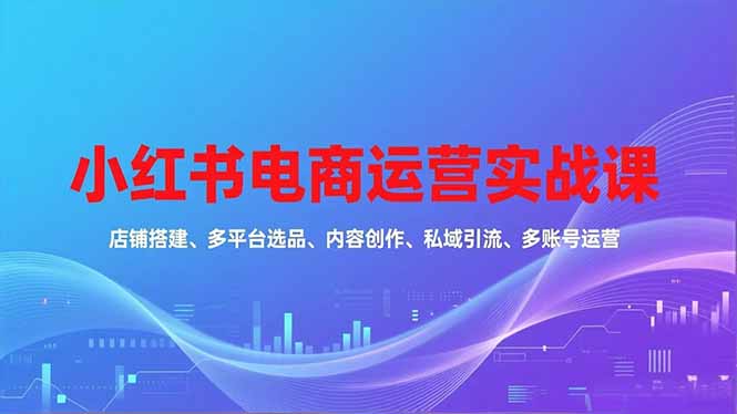 小红书电商运营实战课,店铺搭建、多平台选品、内容创作、私域引流、多账号运营等玩法-邪修侠