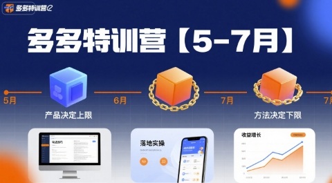 多多特训营,产品决定上限,方法决定下限,各种玩法技巧落地实操(更新)-邪修侠