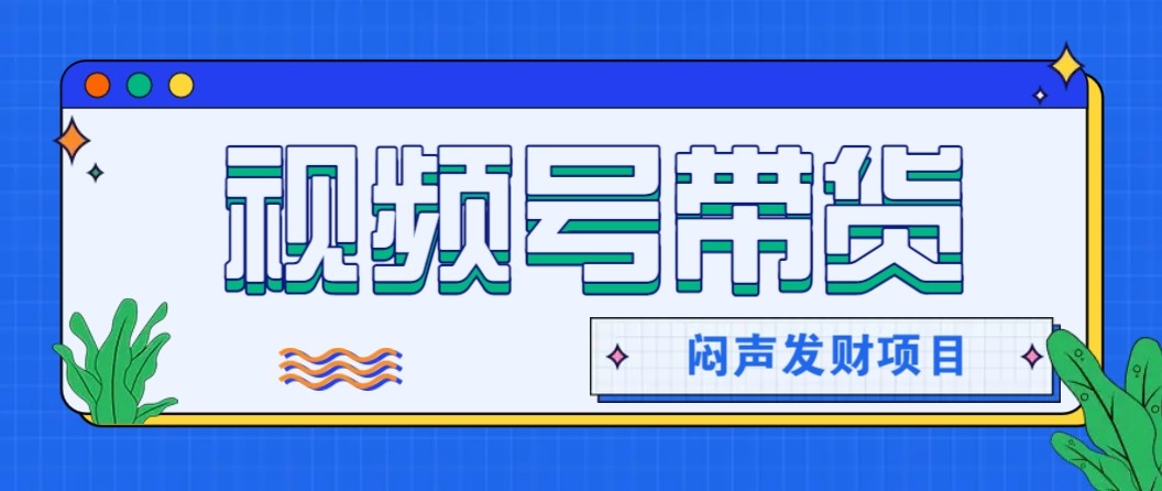 微信视频号带货项目,轻松日赚赚2000+,这个挣钱入口很多伙伴都在闷声发财-邪修侠