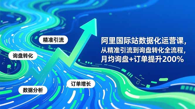 阿里国际站数据化运营课-11月,从精准引流到询盘转化全流程,月均询盘+订单提升200%-邪修侠