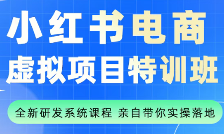 陆明明·小红书虚拟项目特训班(更新9月)-邪修侠