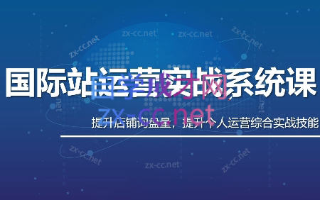 白老师·国际站运营实战系统(高质量询盘增长课)(部分更新)-邪修侠