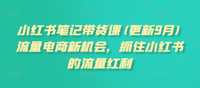 小红书笔记带货课(更新25年12月)流量电商新机会,抓住小红书的流量红利-邪修侠