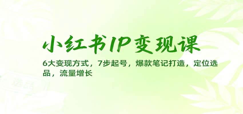 小红书IP变现课：6大变现方式，7步起号，爆款笔记打造，定位选品，流量增长-邪修侠