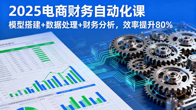 2025电商财务自动化课,模型搭建+数据处理+财务分析,效率提升80%-邪修侠