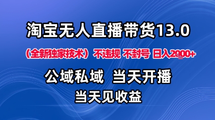 淘宝无人直播13.0,公域私域技术,不封号,不违规布局下半年旺季赛道,日入1K+(独家技术)【揭秘】-邪修侠
