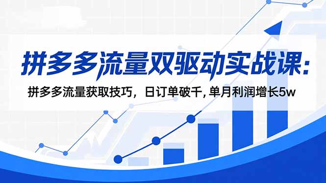 拼多多流量双驱动实战课:拼多多流量获取技巧,日订单破千,单月利润增长5w-邪修侠