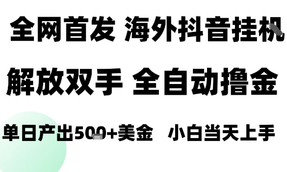 海外抖音无人直播,单日产出1.5k+,长期稳定,新手可玩,无脑操作【揭秘】-邪修侠