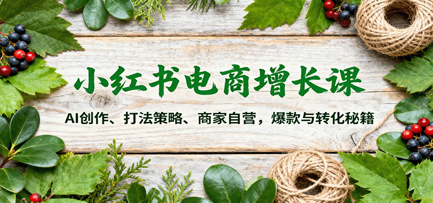 小红书电商增长课:AI创作、打法策略、商家自营,爆款与转化秘籍-邪修侠