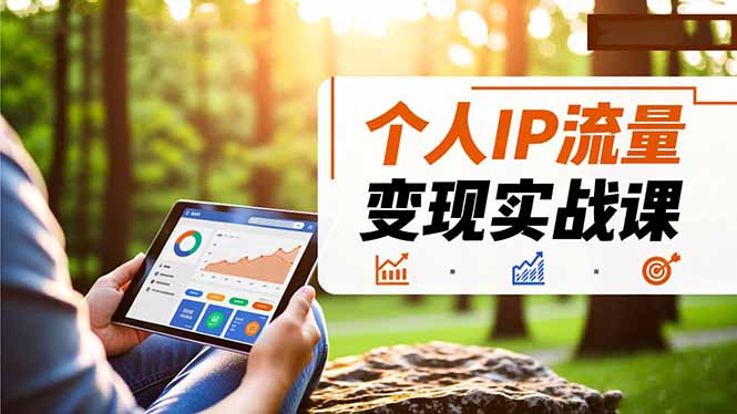 个人IP流量变现实战课,涵盖多平台引流、打造个人IP并实现稳定流量变现-邪修侠